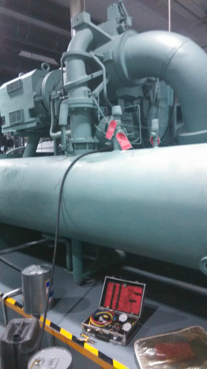 �s��YK�x�ęC�M�S�o���B���� - xue168906881 - ������{��ϴˮ̎���S�ޱ��B����